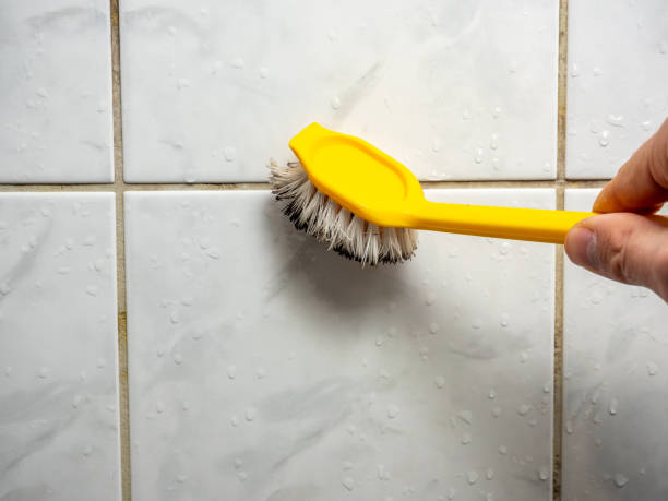 Best Commercial Mold Remediation in Wadena, MN