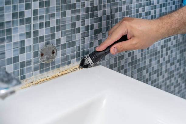 Best Localized Mold Remediation (e.g., coastal areas, humid climates) in Wadena, MN