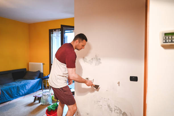 Best Mold Remediation for Specific Building Types in Wadena, MN